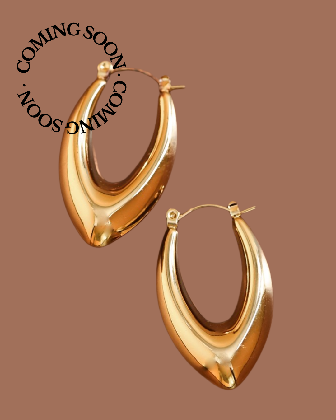 Sadie Hoop Earrings
