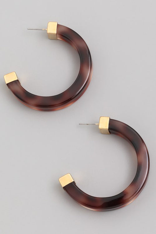 Sydnee Earrings Brown